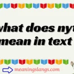 what does nyt mean in text
