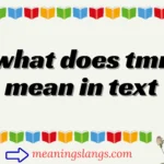 what does tmr mean in text