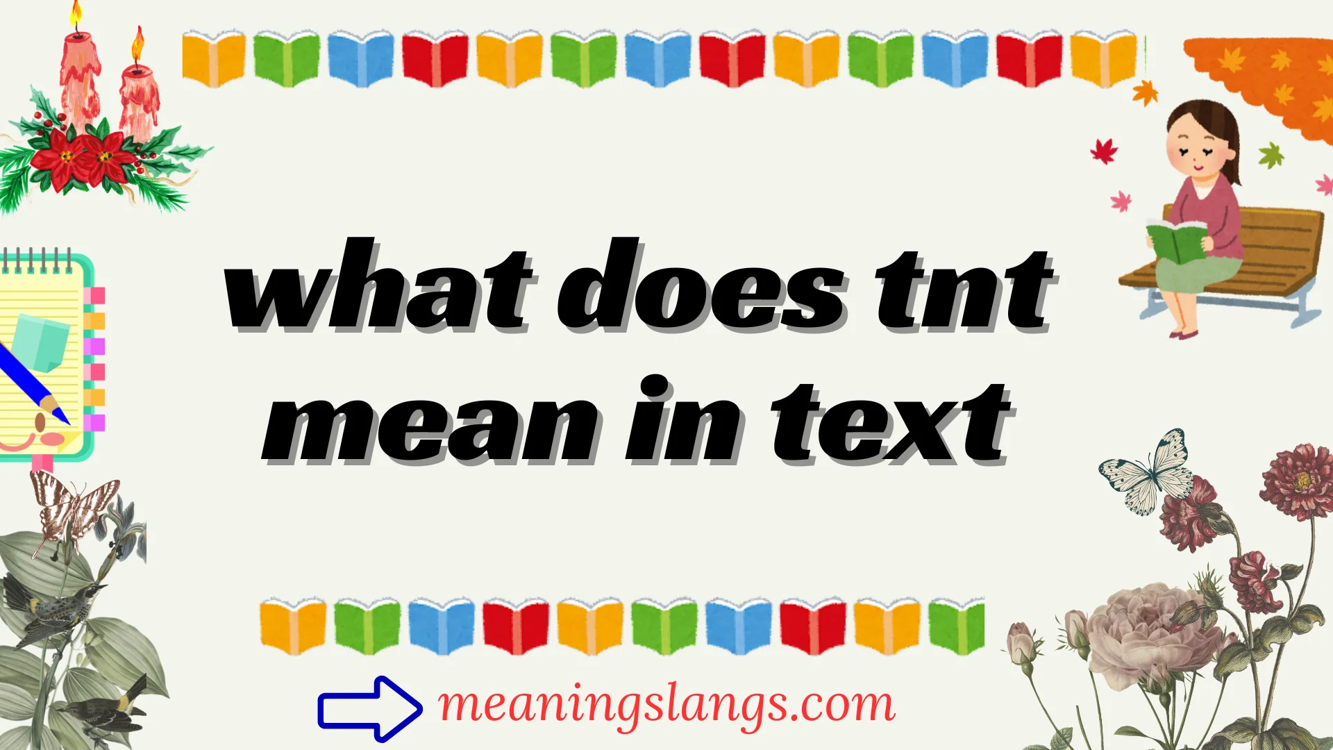 what does tnt mean in text