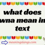 what does wna mean in text
