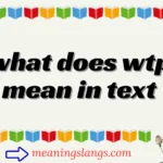 what does wtp mean in text