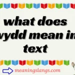 what does wydd mean in text