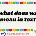 what does wz mean in text