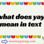 what does yay mean in text