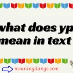 what does yp mean in text