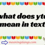 what does ytd mean in text