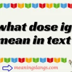 what dose ig mean in text