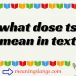 what dose ts mean in text