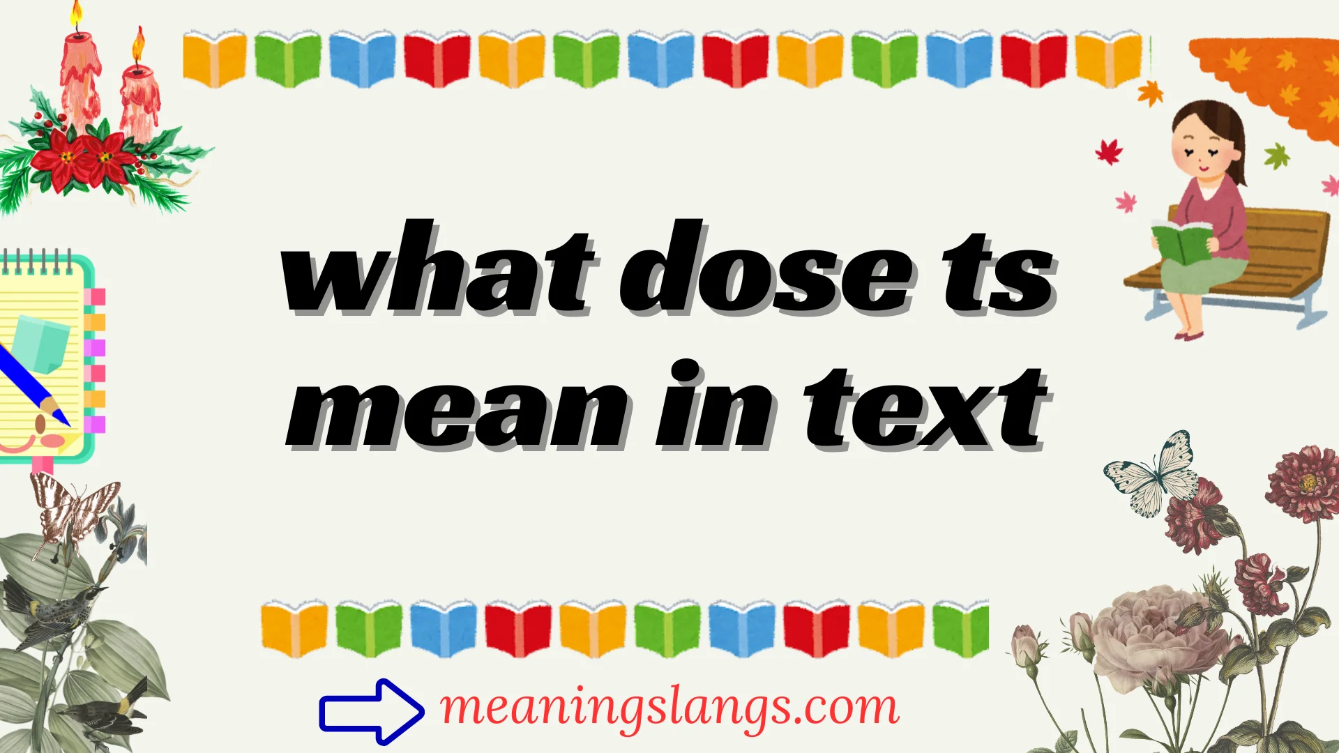 what dose ts mean in text