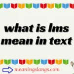 what is lms mean in text