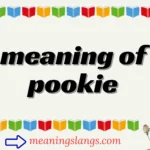 meaning of pookie
