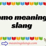 pmo meaning slang