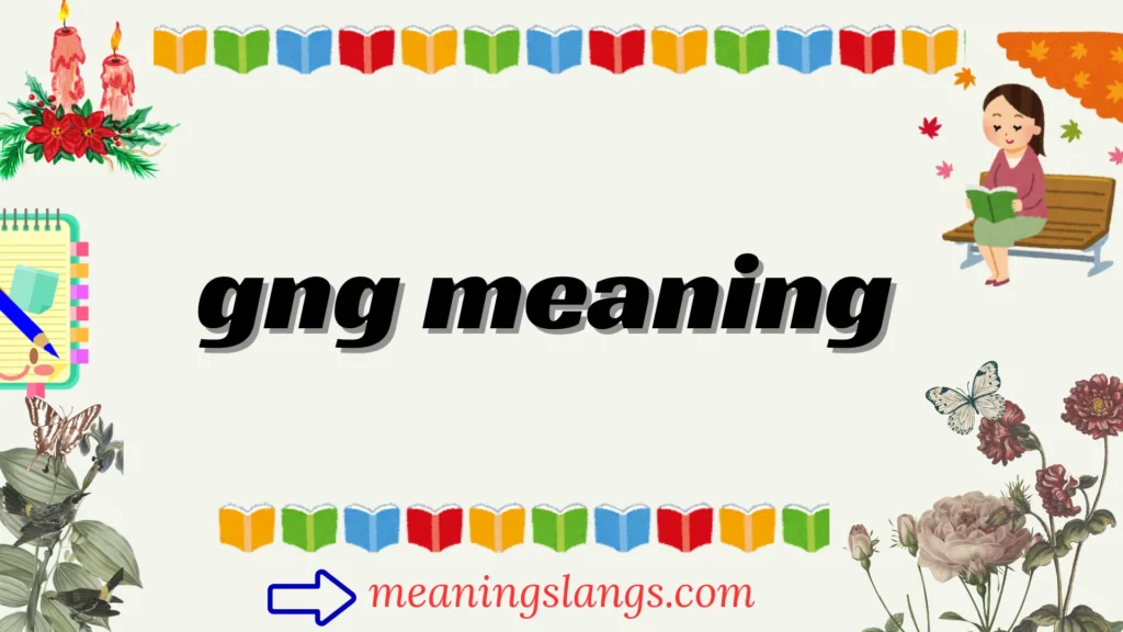 pov meaning