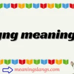 pov meaning