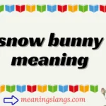 snow bunny meaning