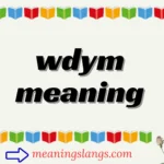 wdym meaning