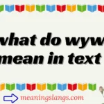 what do wyw mean in text