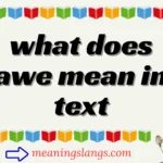 what does awe mean in text