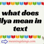 what does ilya mean in text