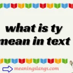 what is ty mean in text