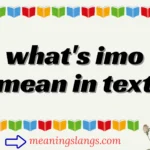 what's imo mean in text